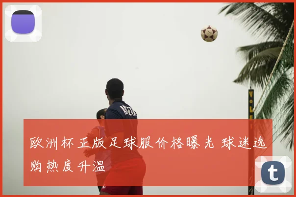 欧洲杯正版足球服价格曝光 球迷选购热度升温