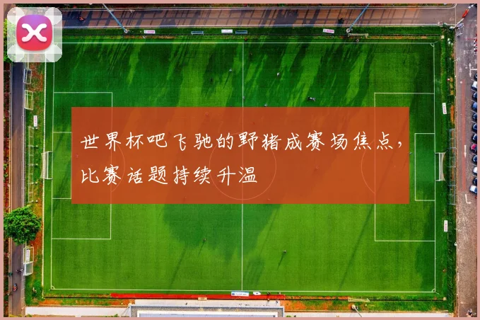 世界杯吧飞驰的野猪成赛场焦点，比赛话题持续升温