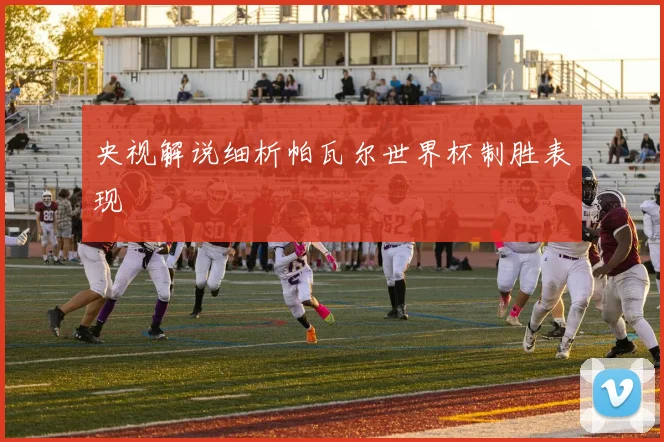 央视解说细析帕瓦尔世界杯制胜表现
