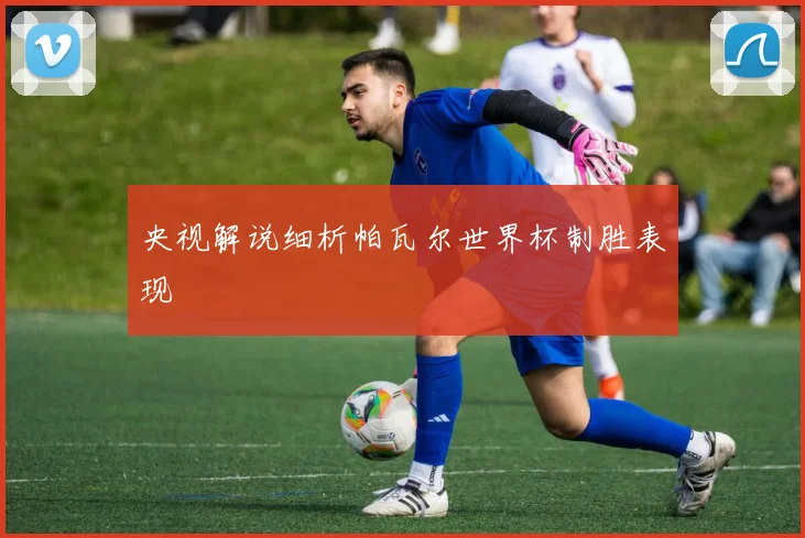 央视解说细析帕瓦尔世界杯制胜表现